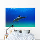 Bottlenose Dolphin Wall Mural
