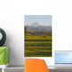 Mt Rainier Farmhouse and Wall Mural