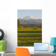 Mt Rainier Farmhouse and Wall Decal Design 2