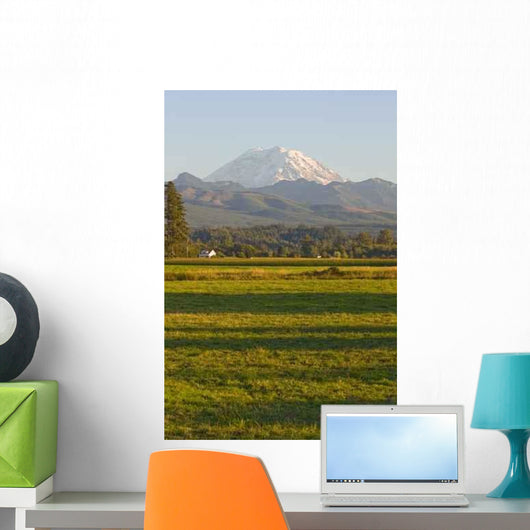 Mt Rainier Farmhouse and Wall Mural