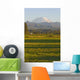 Mt Rainier Farmhouse and Wall Mural