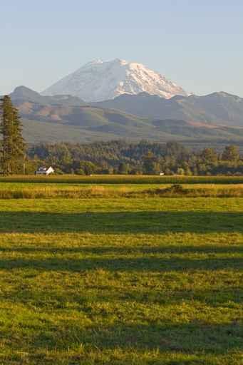 Mt Rainier Farmhouse and Wall Mural