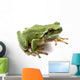 Frog White Wall Decal