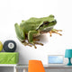 Frog White Wall Decal