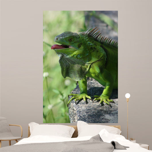 Green Lizard