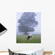 Friesian Cow, Ireland Wall Mural