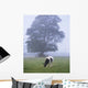 Friesian Cow, Ireland Wall Mural