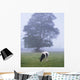 Friesian Cow, Ireland Wall Mural