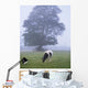 Friesian Cow, Ireland Wall Mural