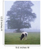Friesian Cow, Ireland Wall Mural