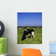 Ireland Wall Mural