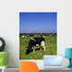 Ireland Wall Mural