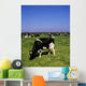 Ireland Wall Mural