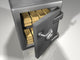 Strong Box with Gold
