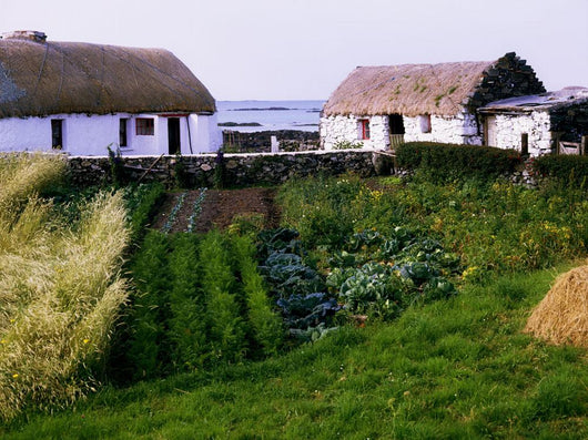 Traditional Cottages, Co Galway, Ireland Wall Mural