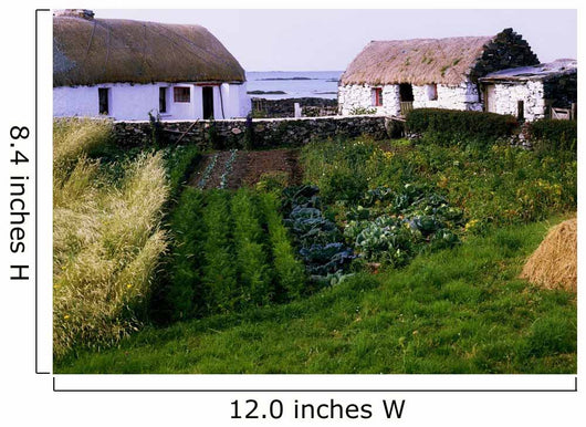 Traditional Cottages, Co Galway, Ireland Wall Mural