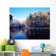 Lagan Meadows During Winter, Belfast, Co Antrim, Ireland Wall Mural