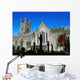 St Mary's Cathedral, Co Limerick, Ireland Wall Mural