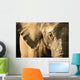 Elephant Wall Mural