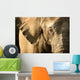 Elephant Wall Mural