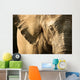 Elephant Wall Mural