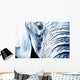 Close Up Of An Elephant's Face Wall Mural