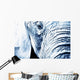 Close Up Of An Elephant's Face Wall Mural