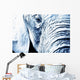 Close Up Of An Elephant's Face Wall Mural