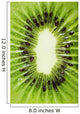 Kiwi Slice Wall Mural