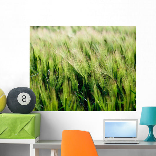 Barley, Co Down Wall Mural