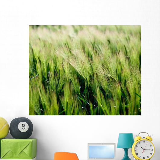 Barley, Co Down Wall Mural