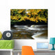 River Camcor, Co Offaly, Ireland Wall Mural