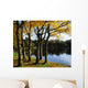 Lake And Trees, Mount Stewart, Co Down, Ireland Wall Mural