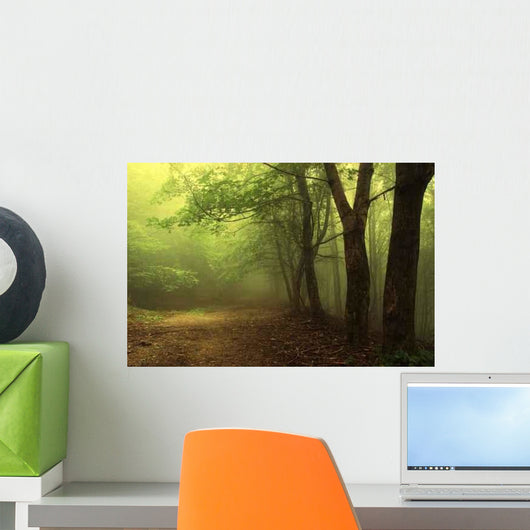 Green Forest with Fog Wall Decal