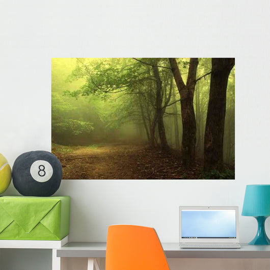 Green Forest with Fog Wall Decal