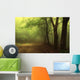 Green Forest with Fog Wall Decal