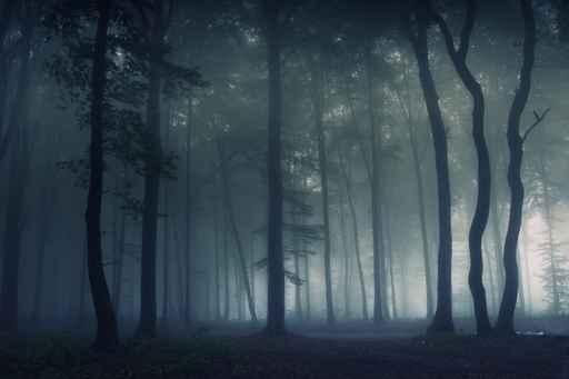 Forest Fog Wall Decal Design 2