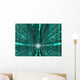 Attraction Wall Mural
