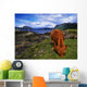 Highland Cattle, Scotland Wall Mural