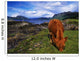 Highland Cattle, Scotland Wall Mural