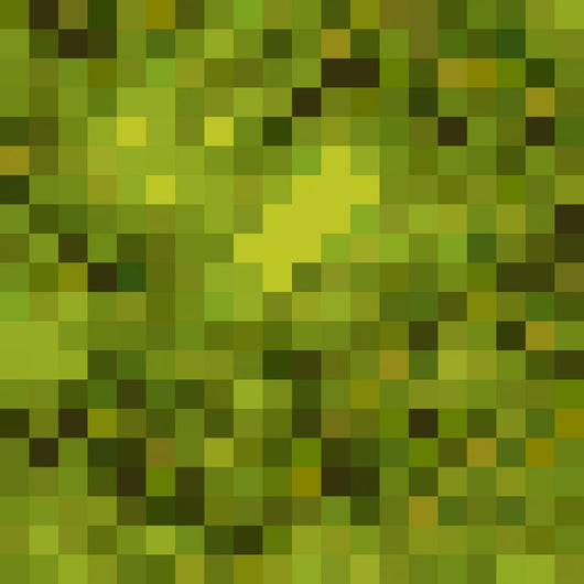 Seamless Texture