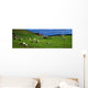 Co Cork, Beara Peninsula Wall Mural