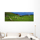 Co Cork, Beara Peninsula Wall Mural