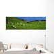 Co Cork, Beara Peninsula Wall Mural