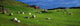 Co Cork, Beara Peninsula Wall Mural