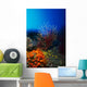 Seafan Wall Decal