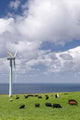 Cows Grazing among Wind Wall Mural