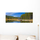 Wilmore Wilderness In The Fall, Alberta, Canada Wall Mural