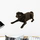 fond of looking pug Wall Decal