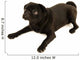 fond of looking pug Wall Decal